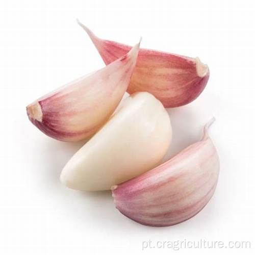 Garlic Farm Top dentes de alho frescos